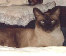 henry