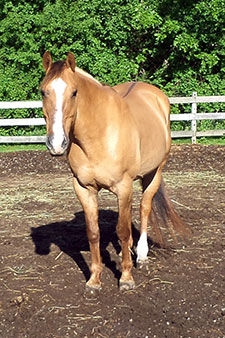 Duncan